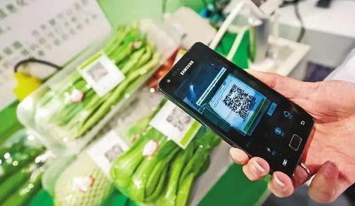 從園區(qū)菜籃子到科技籃 工業(yè)互聯(lián)網(wǎng)賦能農(nóng)業(yè)生產(chǎn)的數(shù)字化轉(zhuǎn)型